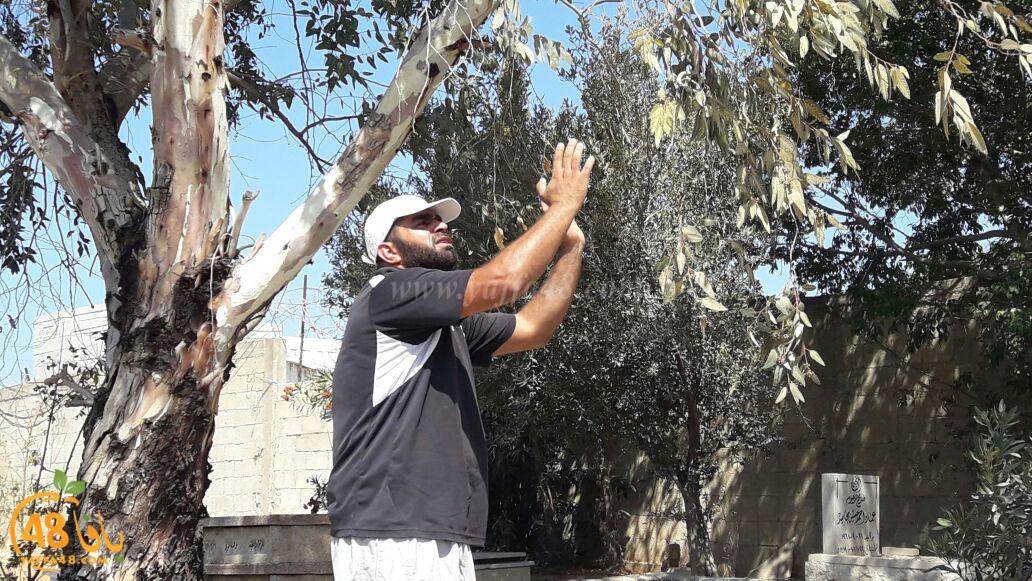 maqbara yaffai39 tandef (24).jpg